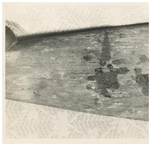 Evividence Rifle