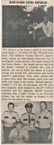 Marajuana Raid by Clifford Coleman and Deputies