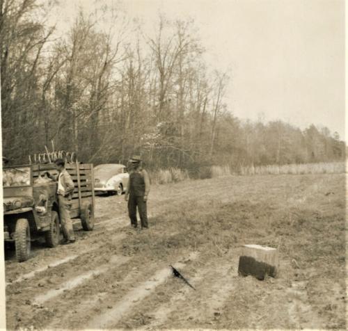 Picking Still