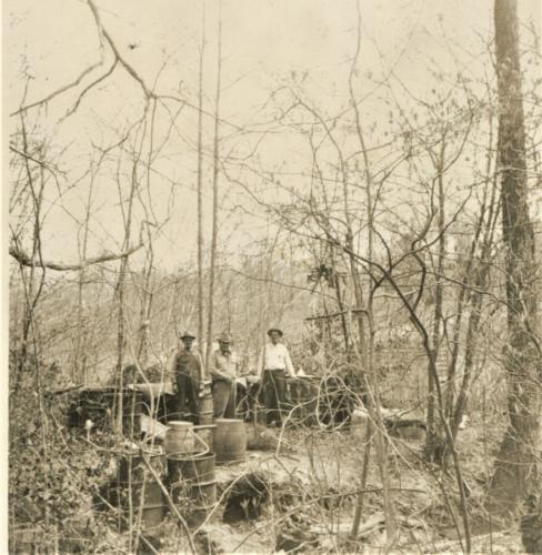 Still in Woods 7