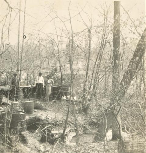 Still Site 16