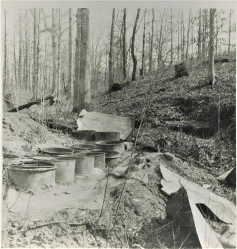 Still Site 4